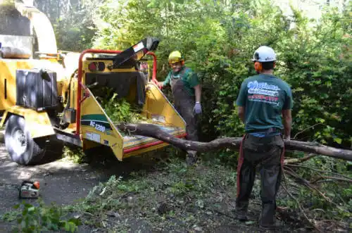 tree services Bonny Doon